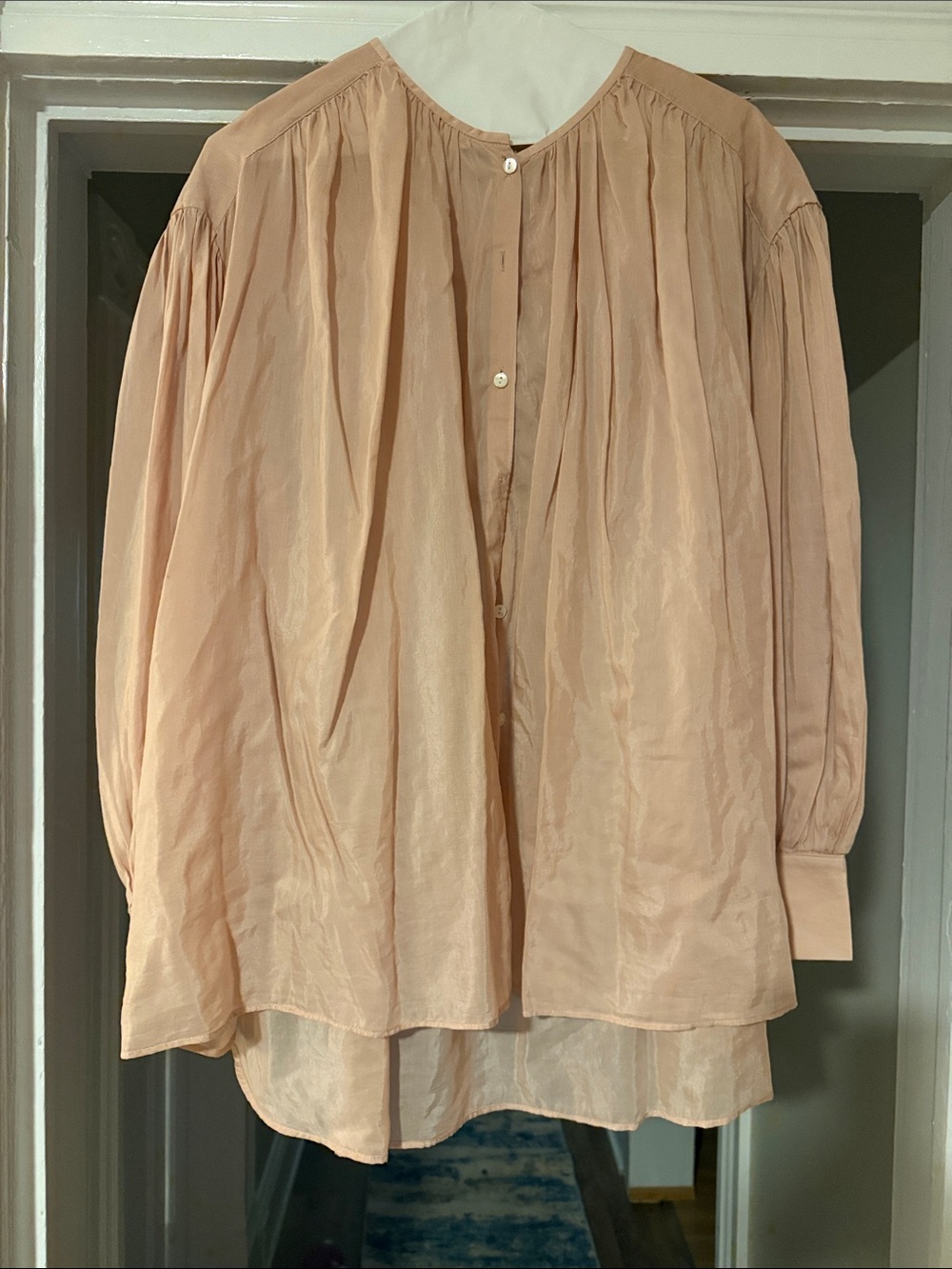 Banana Republic Peach-Blend Long-Sleeve Button Down Top